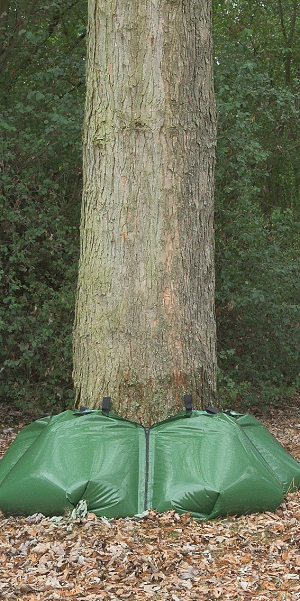 Das Bild zeigt einen Baumstamm, an dem zwei Wassersäcke angebracht sind