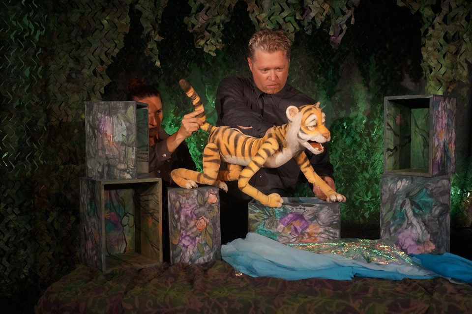 Kinderprogramm in der Festhalle: Tigerwild 