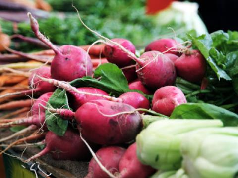 Gemüse Rubrikenbild StadtLAndMarkt